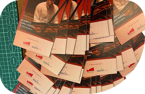 imagen 2 1 e1743605214961